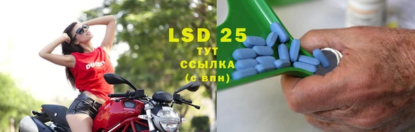 стафф Осинники