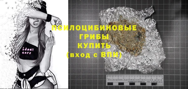 гашик Алзамай