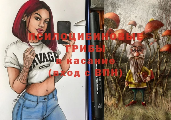гашик Алзамай
