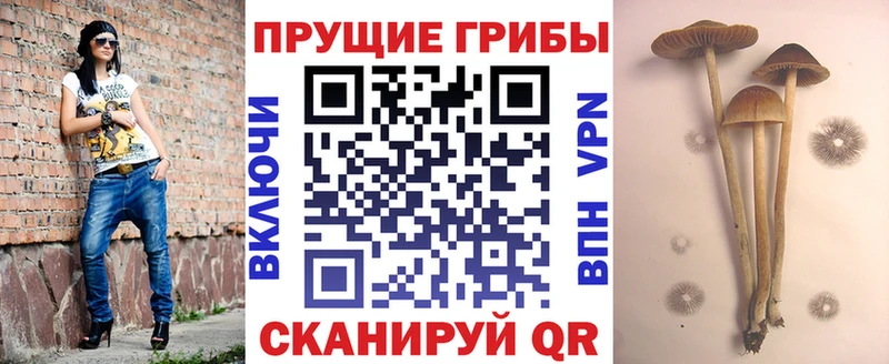 Псилоцибиновые грибы Psilocybine cubensis Уфа